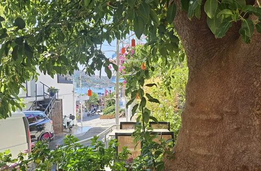 Terasta çiçek saksıları